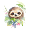 Sloth