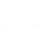 Labrador mit Frau
