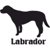 Labrador Silhouette