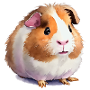 cute guinea pig