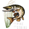 Pike It Sport Fishing