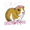 Crazy Guinea Pig Lady Rodent Cavy Lover