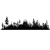 Forest Silhouette