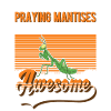 Gottesanbeterin Fangschrecke Mantis