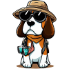 Beagle Dog Der Entdecker