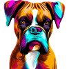 Boxer Paint Splash Art