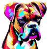Boxer Art