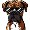 Cute Boxer Puppy