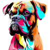 Boxer Drawing