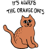Het is altijd de Orange Ones Meme Cat