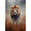 Lion Wilderness