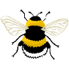 Bumbleebee