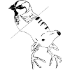 Oiseau et Cerf
