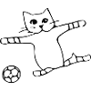 Fussball Katze