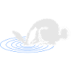 A white rabbit