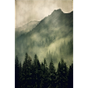Wald Nebel
