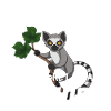Lémurien