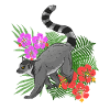 Fleurs de lémuriens