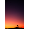 Enchanted Sky