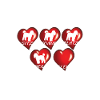 Hundezubehör Pudel Hundebesitzer