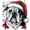 English Bulldog xmas