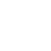 Gans Gänse