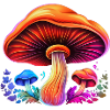Magic Mushroom