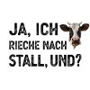 Kuh Landwirt