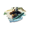 Summer Panda Surfing