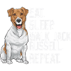 Jack Russell Terrier