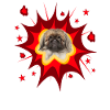 Comic Dog Design - Pow - Pekingese