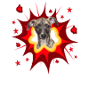 Comic Dog Design - Pow - Whippet