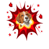 Comic Dog Design - Pow - Kooikerhondje