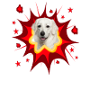 Comic Dog Design - Pow - Kuvasz