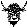 Scottish Highland cow