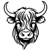 Vache écossaise des Highlands