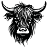 Scottish Highland cow