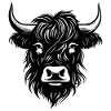Scottish Highland cow