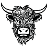 Scottish Highland cow