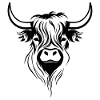 Scottish Highland cow
