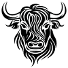 Scottish Highland cow