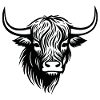 Scottish Highland cow