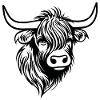 Scottish Highland cow