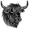 Scottish Highland cow