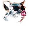 Pig Sunglasses