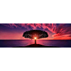 Sonnenuntergang