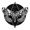 Moth and night sky