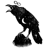 Night raven