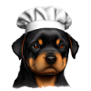 Rottweiler Cane Ristoratore Cani Cucina Cucciolo