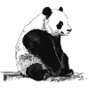 Panda, Sustainable